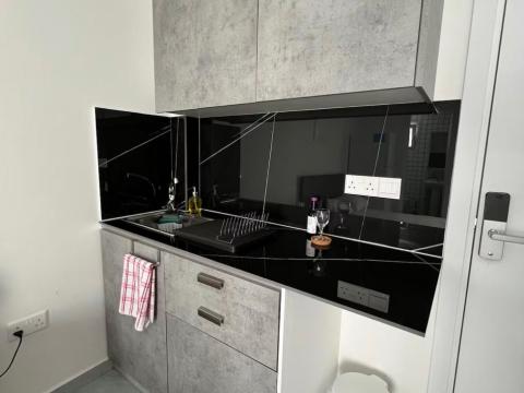 Apartment_L03_kitchen2